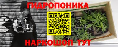 стафф Бузулук