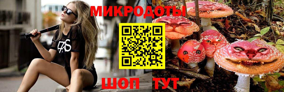 Галлюциногенные грибы GOLDEN TEACHER  Вход с VPN  как найти   Галлюциногенные грибы MAGIC MUSHROOMS  Ревда 